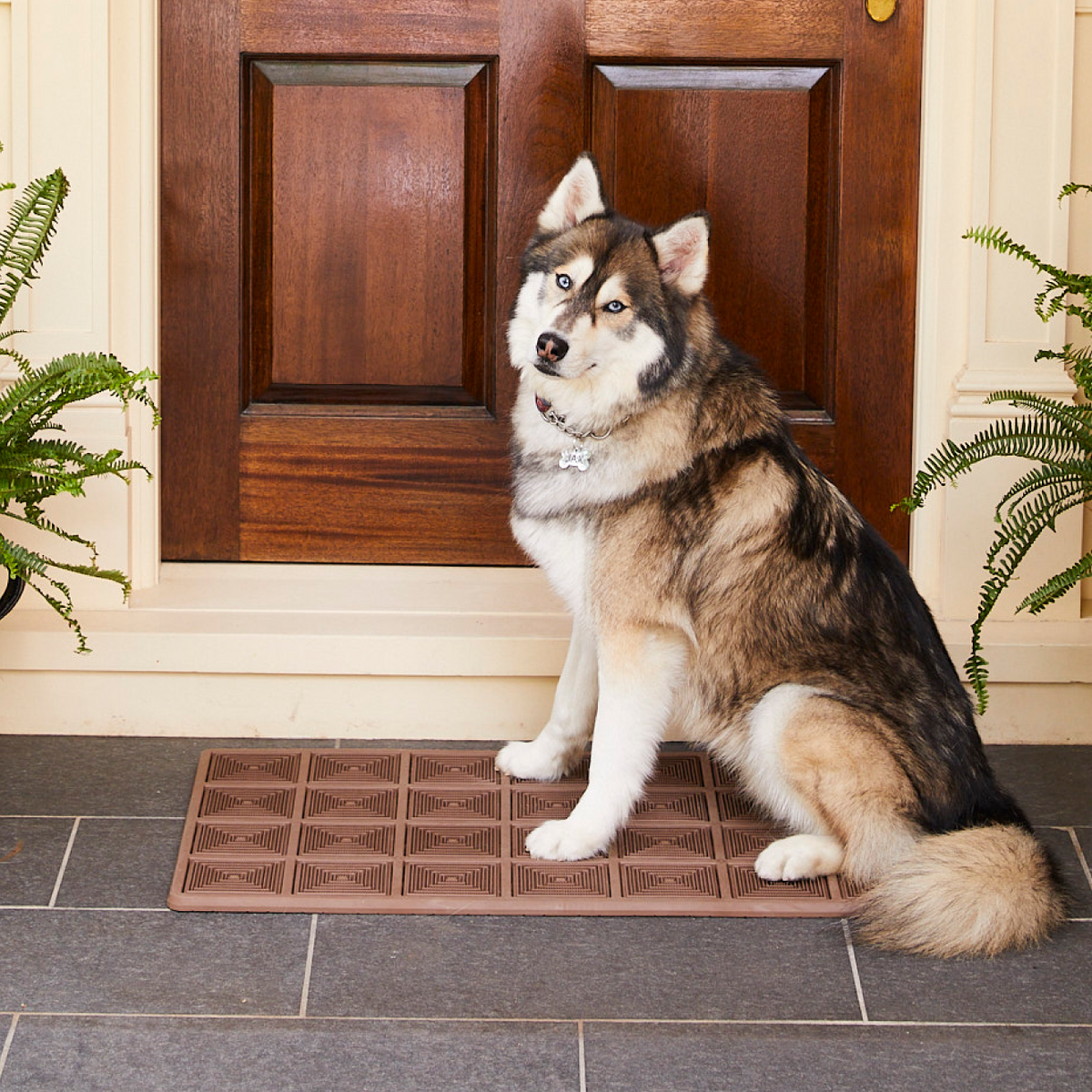 The hardworking hero for your doorway