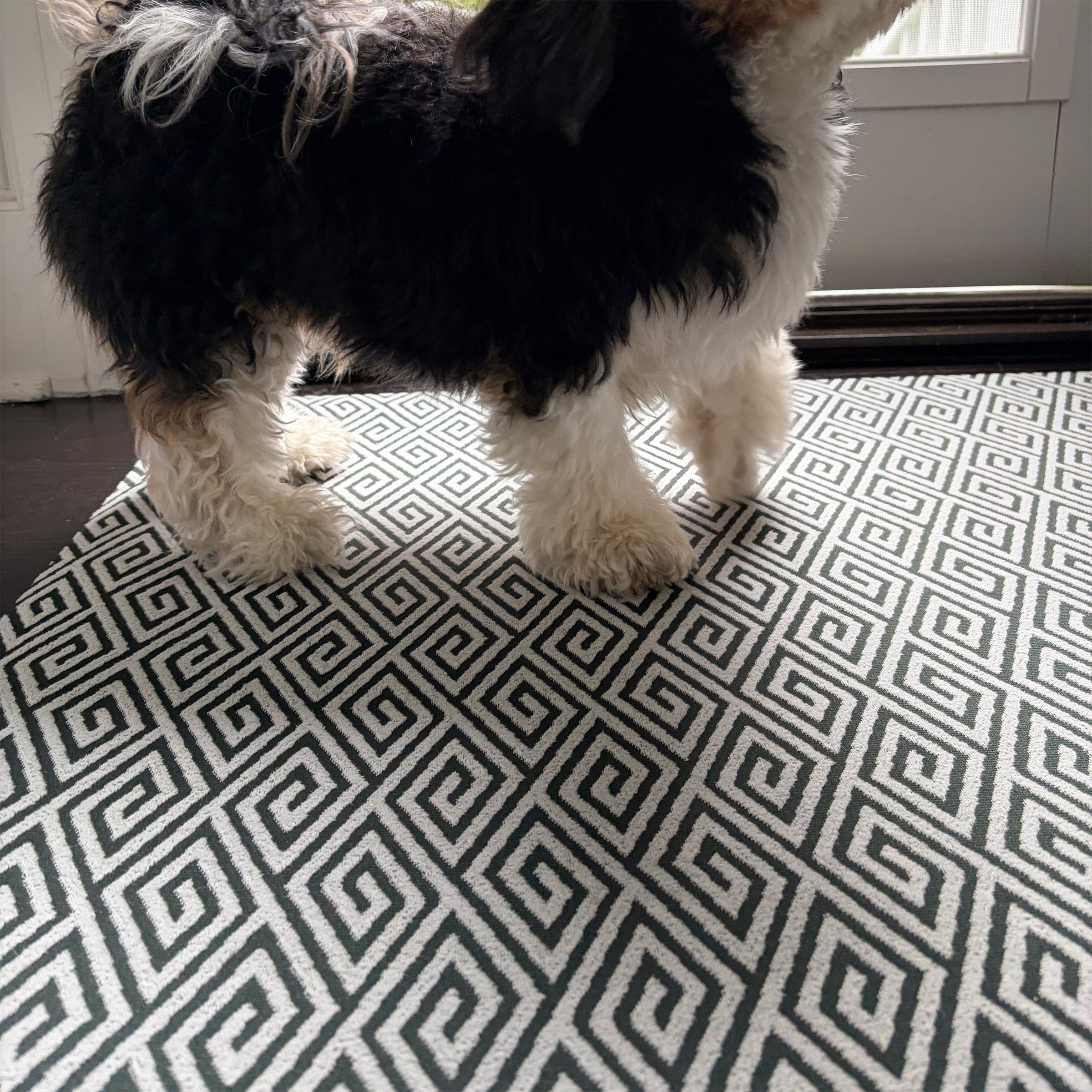 The Insider - Maze II (Forest) / Doormat