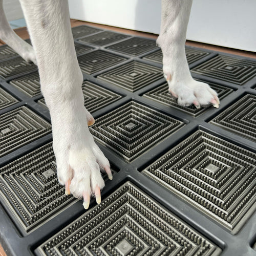 The Outlier - Nori / Doormat