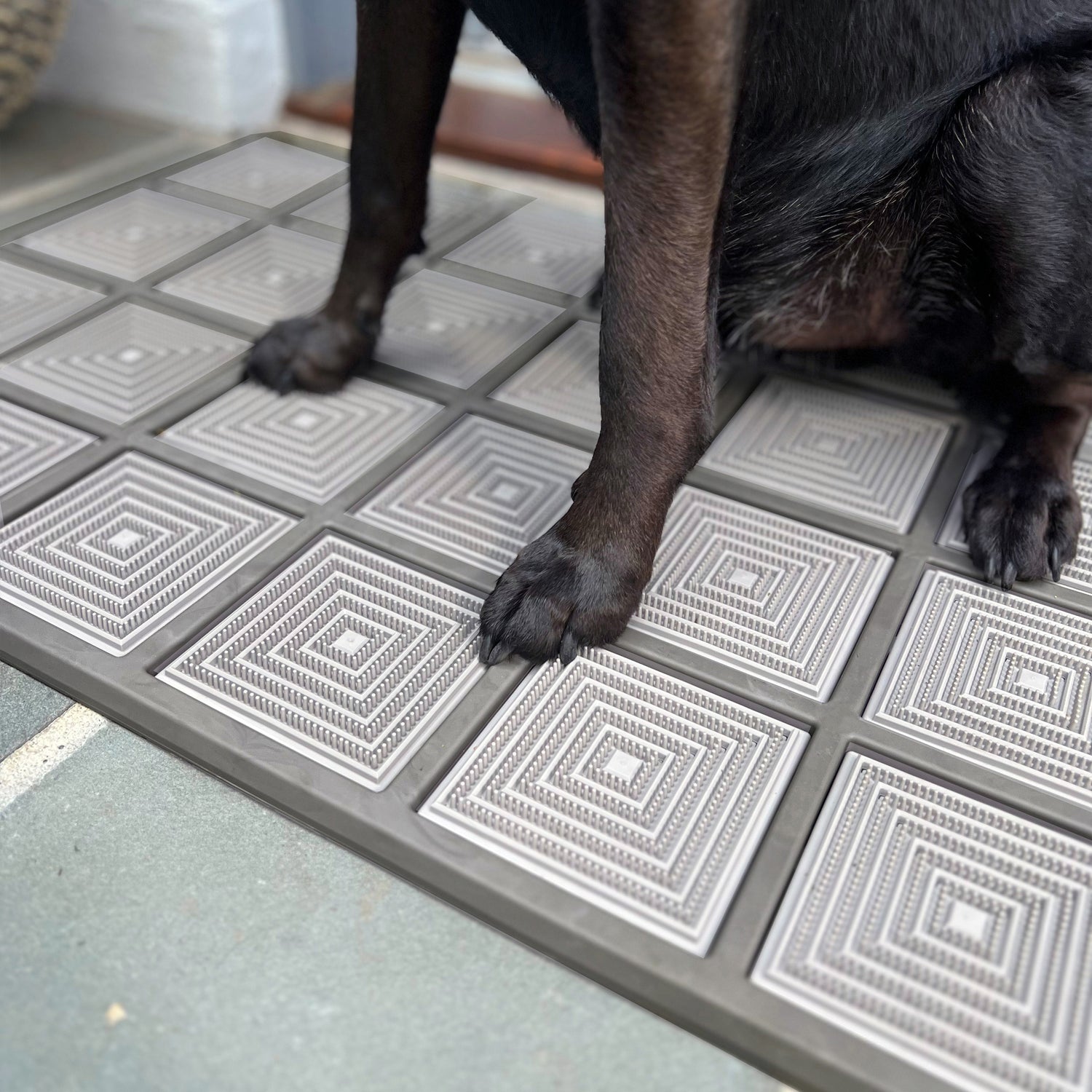 The Outlier - Slate / Doormat