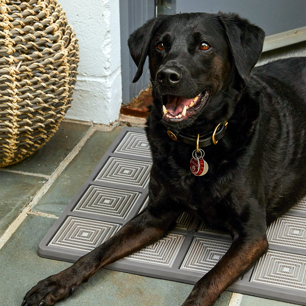 Black lab doormat top
