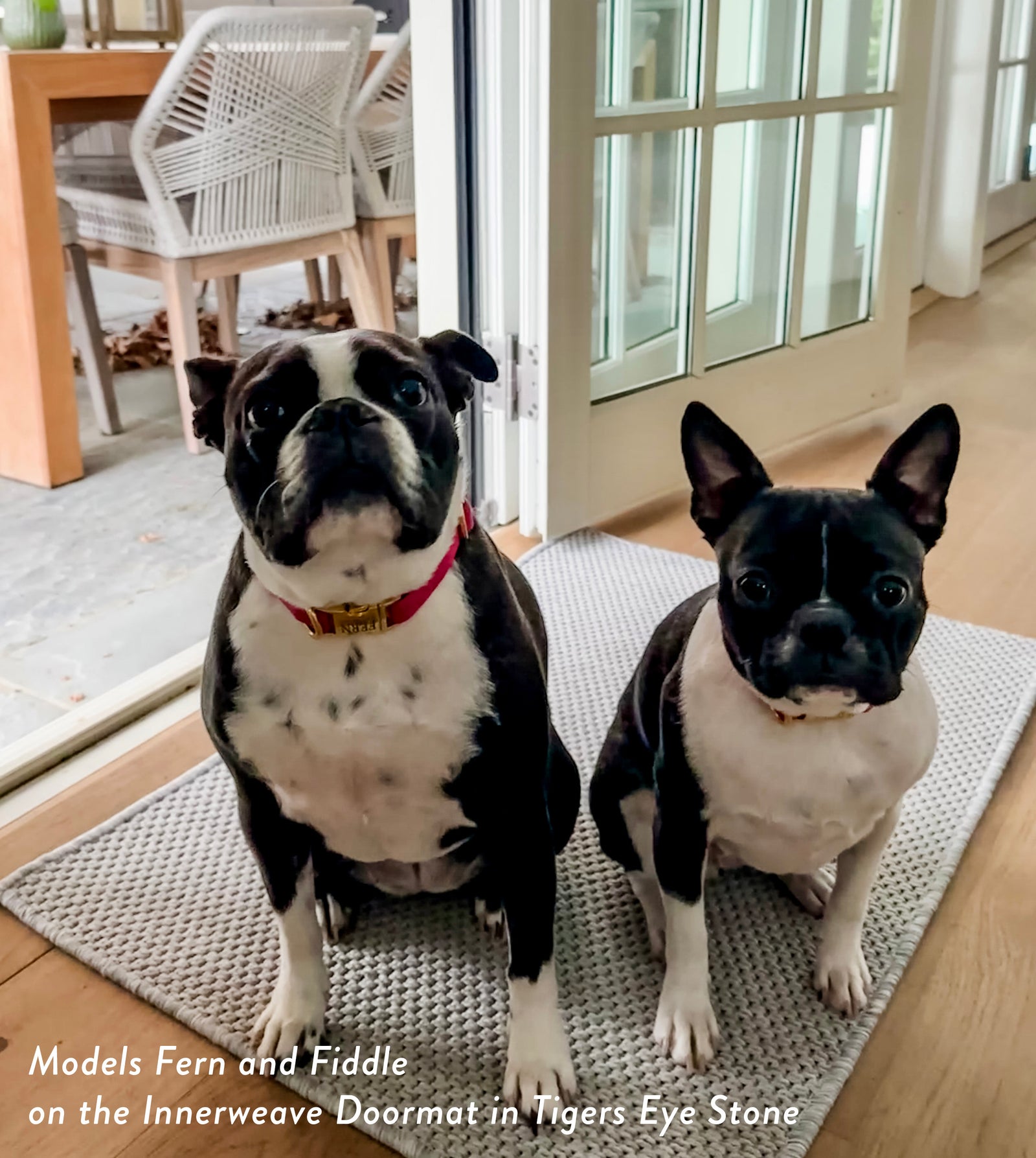 Models fers and fiddle