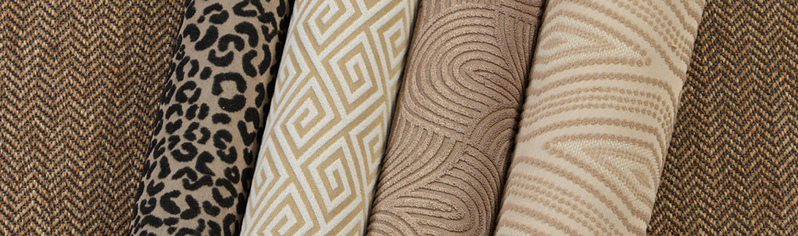 Designer Spotlight