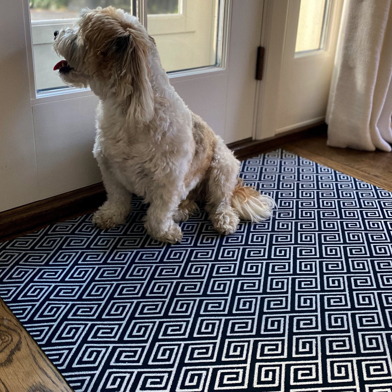 The Insider - Maze (Navy) / Doormat